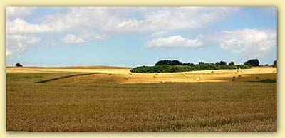 Ruegen gross
