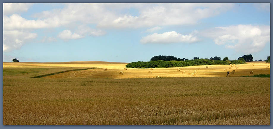 Ruegenpanorama gross