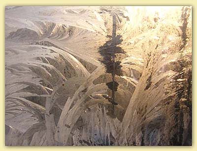 Eisblumen gross