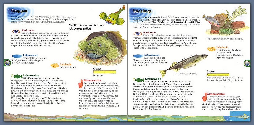 Doppelseite Aquarienfuehrer gross