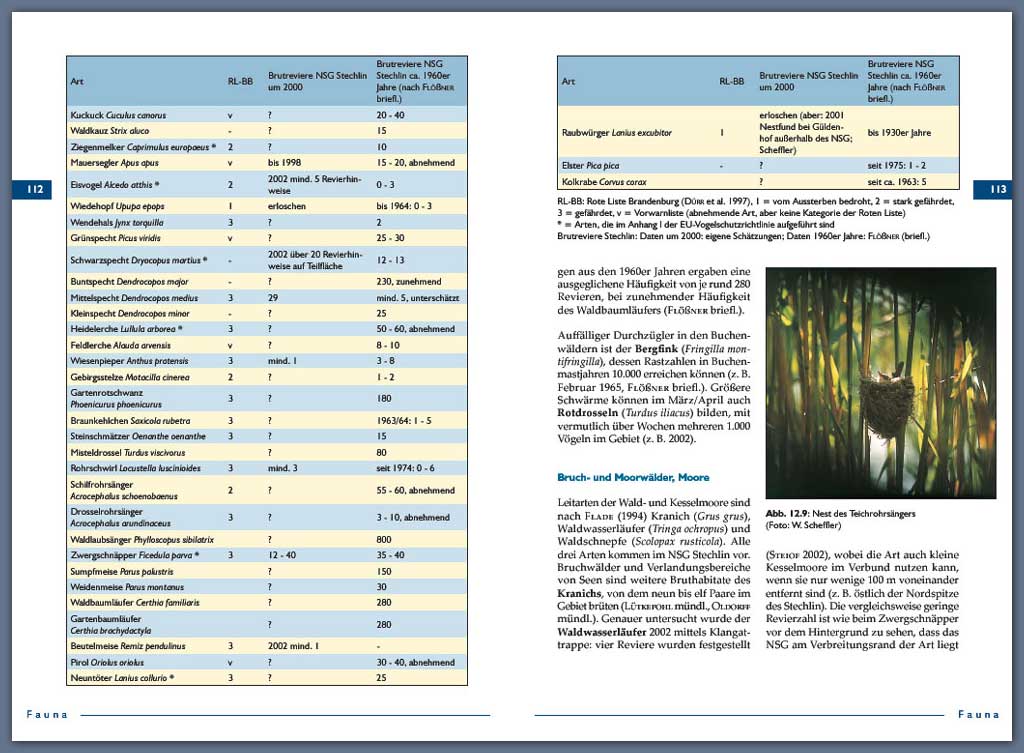 Doppelseite Stechlinbuch gross