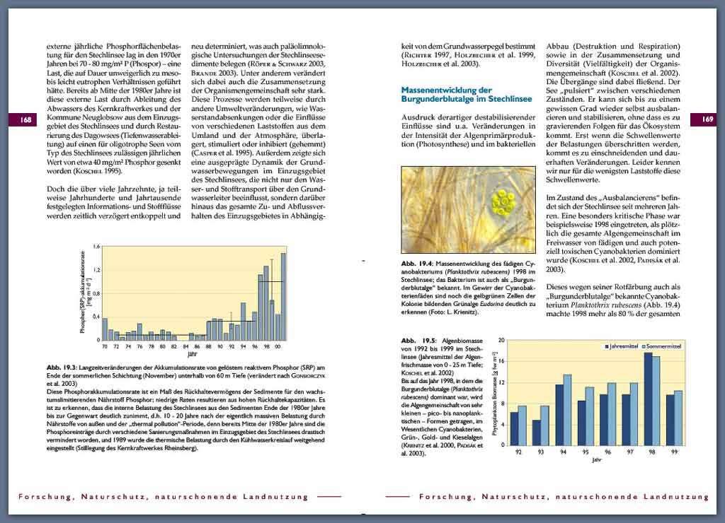 Doppelseite Stechlinbuch gross